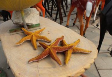 玻璃钢广场海星雕塑
