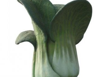 玻璃钢城市蔬菜雕塑