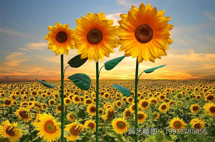 景区玻璃钢向日葵雕塑 景区玻璃钢向日葵雕塑