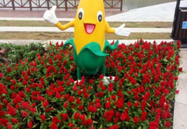 城市玻璃钢玉米卡通雕塑