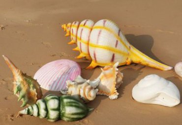 玻璃钢公园景观海洋生物雕塑