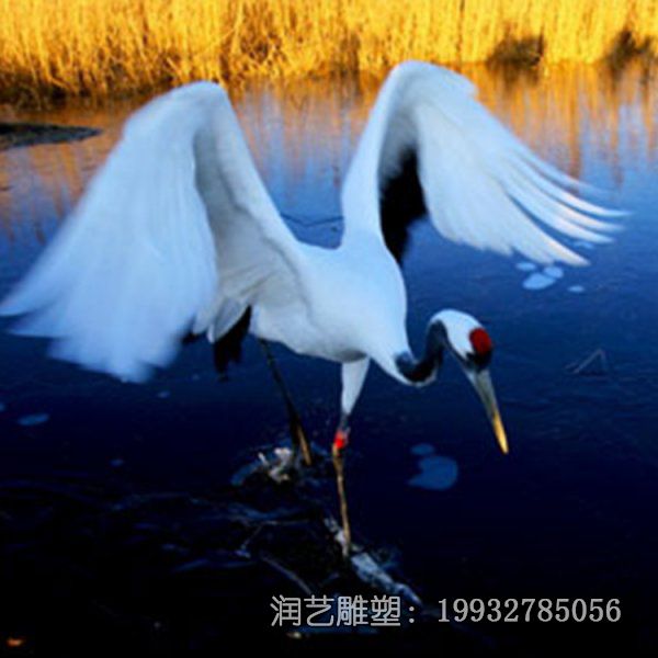 景区玻璃钢仙鹤雕塑 景区玻璃钢仙鹤雕塑