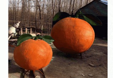 草坪玻璃钢橘子雕塑
