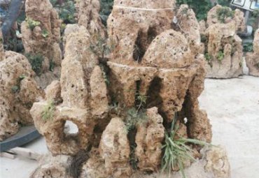 校园石雕景观石雕塑
