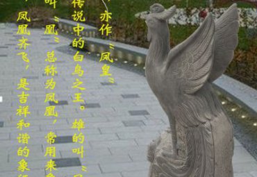 公司凤凰石雕
