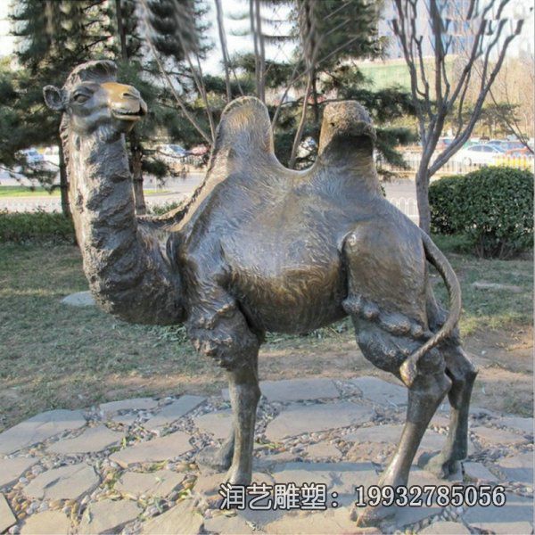 景区铜雕骆驼雕塑 景区铜雕骆驼雕塑