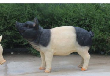 草坪玻璃钢猪雕塑