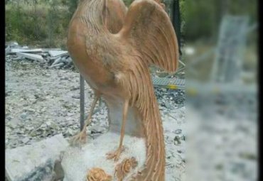 医院凤凰石雕