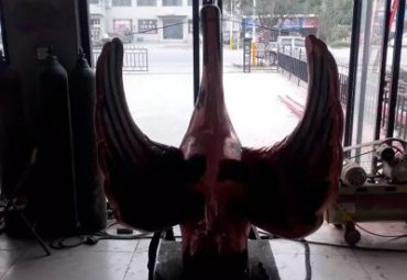 酒店天鹅铜雕