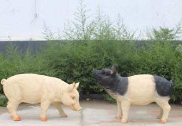 学校玻璃钢猪动物雕塑