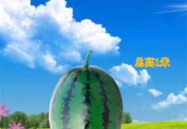 草坪玻璃钢西瓜雕塑