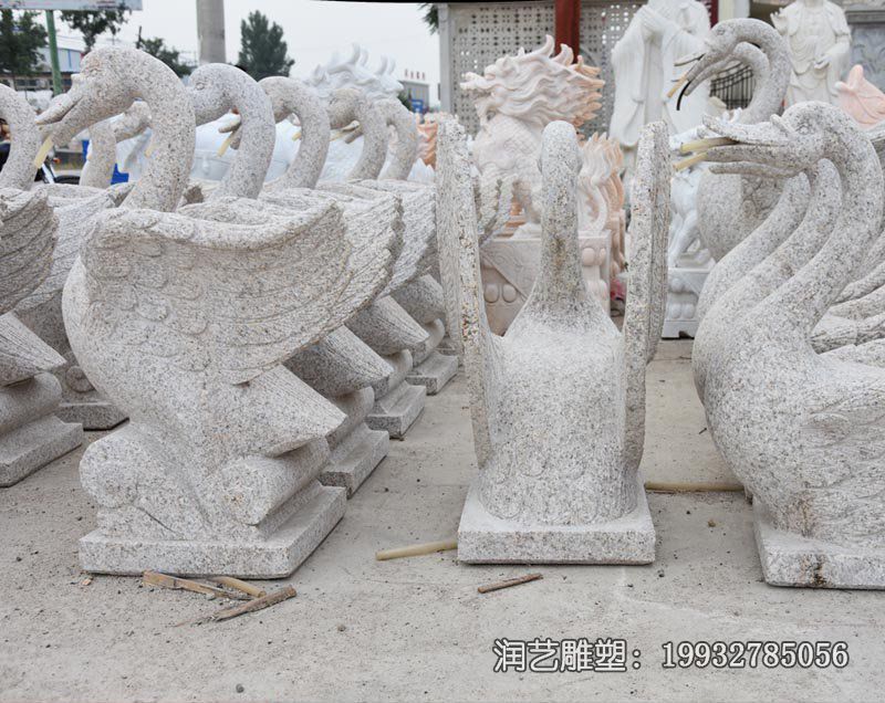 广场天鹅石雕 广场天鹅石雕