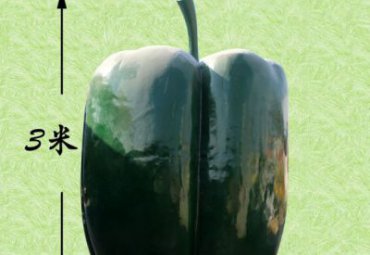 公园玻璃钢青椒景观雕塑