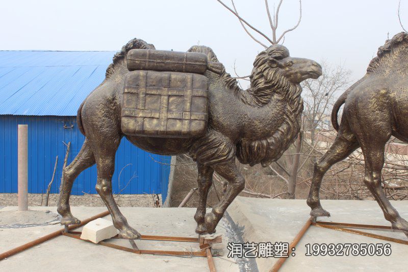草坪骆驼动物铜雕 草坪骆驼动物铜雕