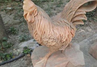 医院鸡动物石雕