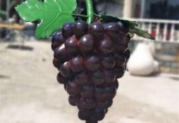 学校玻璃钢葡萄景观雕塑