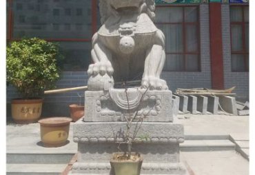 学校狮子动物石雕