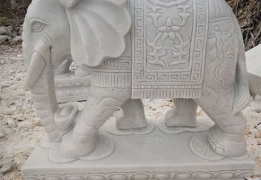 医院象动物石雕