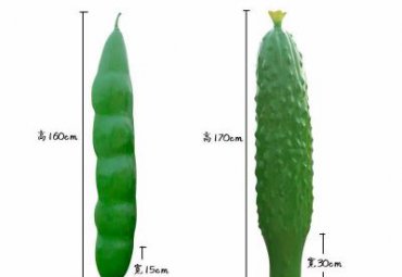 城市玻璃钢蔬菜雕塑